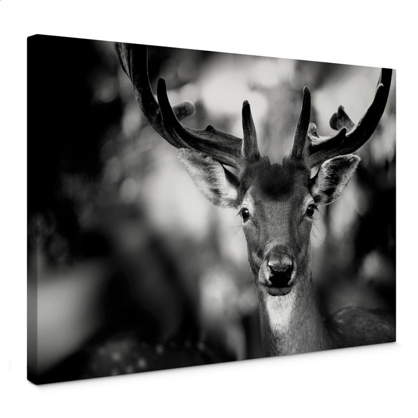 Canvas Sandra - Jong Hert