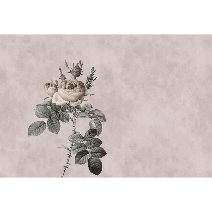 Livingwalls Fotomurale Walls by Patel rose 3