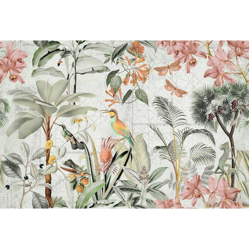 Livingwalls papier peint photo ARTist Tropical Paradise Oiseaux de la jungle et papillons crème