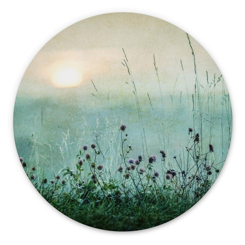 Vægcirkel Kværnstrøm - Dew-covered sunrise – print på aluminium (Alu-Dibond)