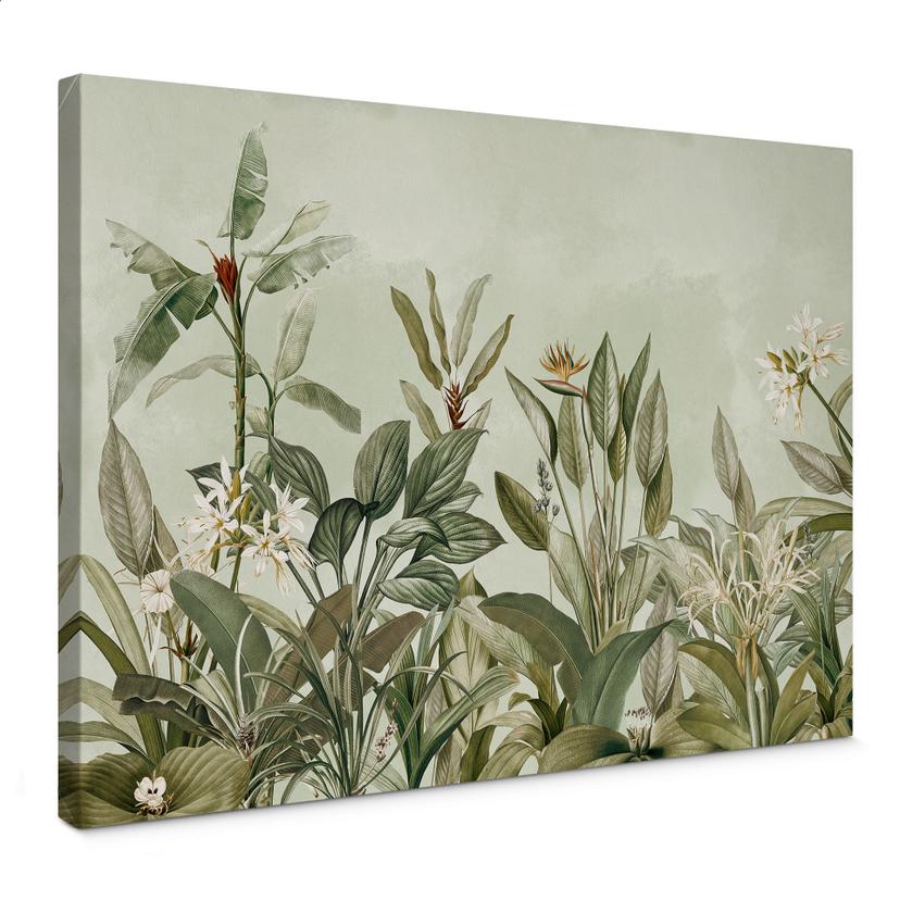 Lienzo Botánica Tropical - UN Designs
