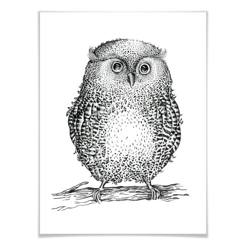 Affiche Kvilis - Hibou 02