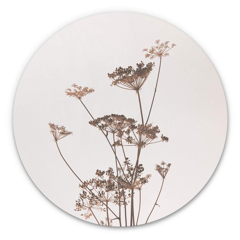 Tableau en alu-Dibond Herbes sauvages - Rond