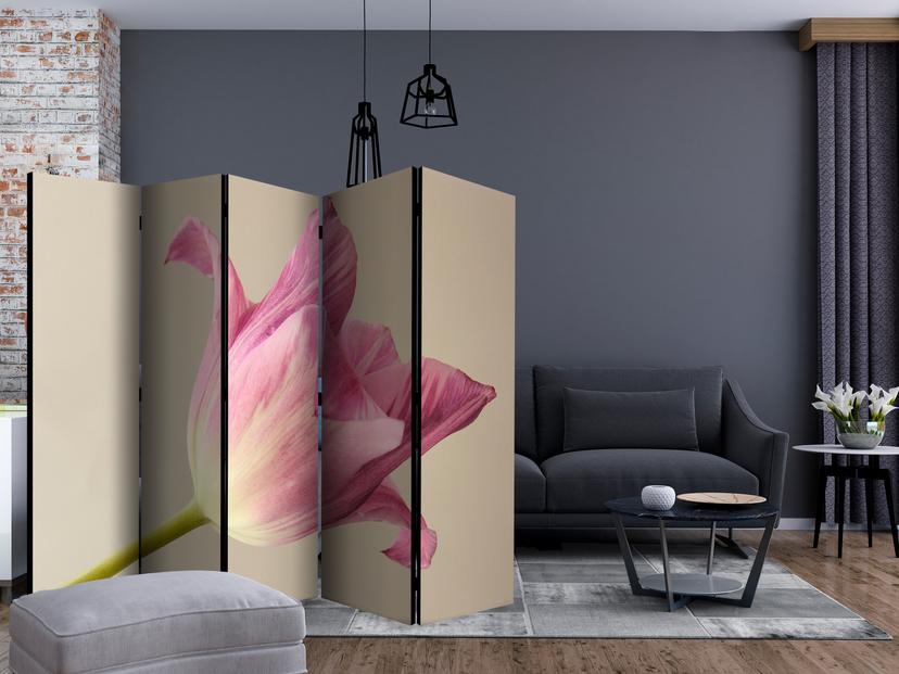 Schermo divisorio - Orchidea rosa, 5 pezzi - 225x172 cm