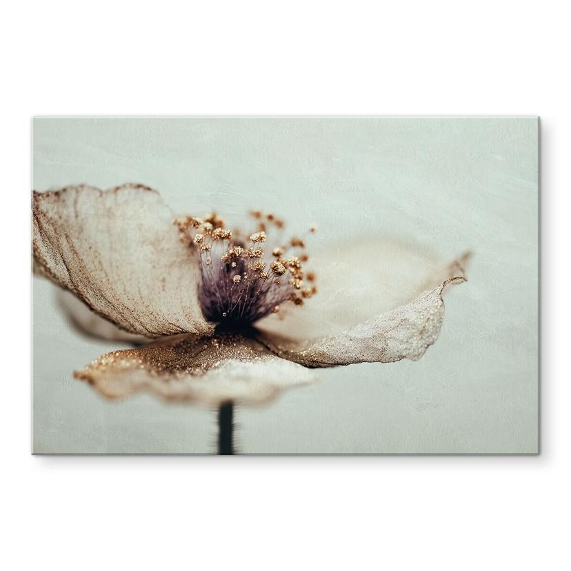 Pannello paraschizzi Delicati fiori secchi in beige - Treechild - Panorama