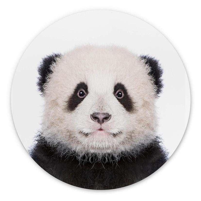 Tableau sur alu-Dibond rond Sisi & Seb - Baby Panda