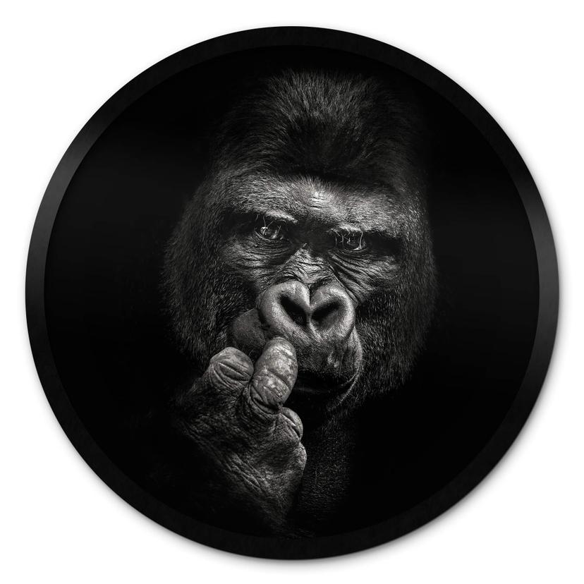 Plakat Meermann - Gorilla