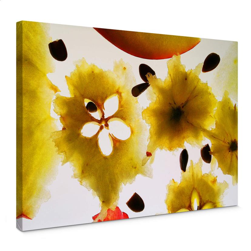 Lienzo Frutas Abstractas