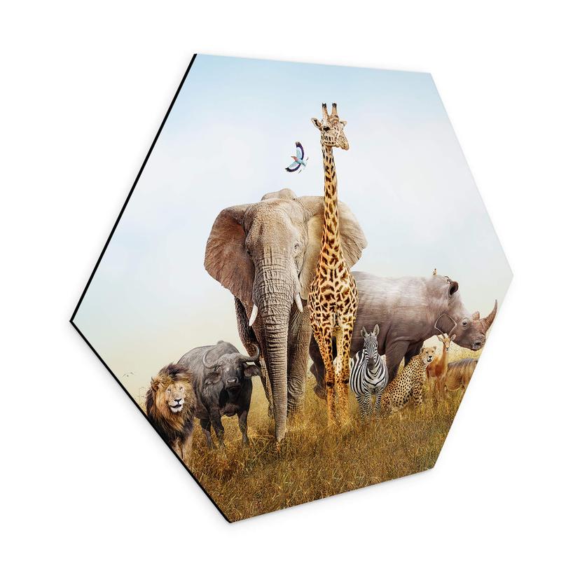 Hexagone - alu-Dibond Animaux africains