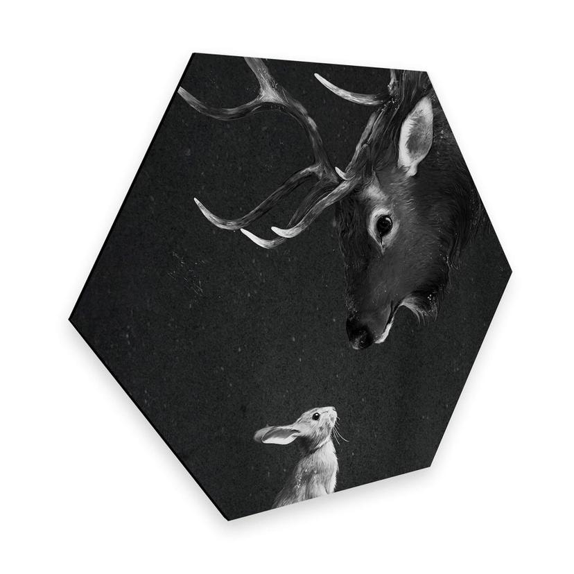 Hexagone -Alu Dibond Graves - Cerf et lapin