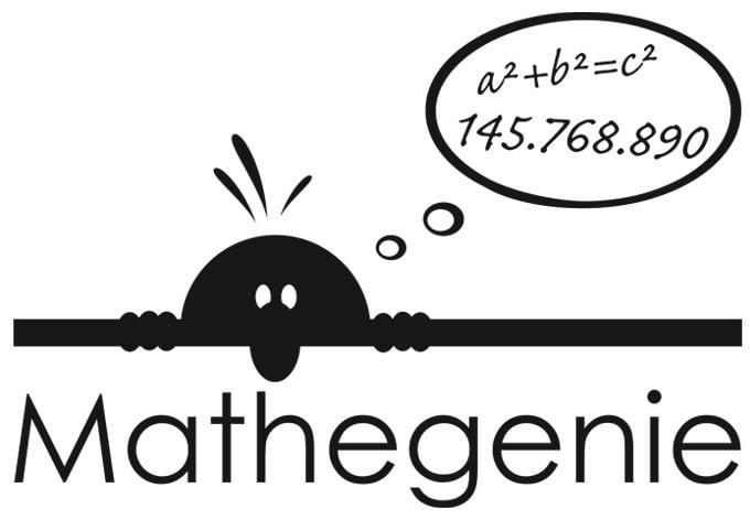 Genio della matematica