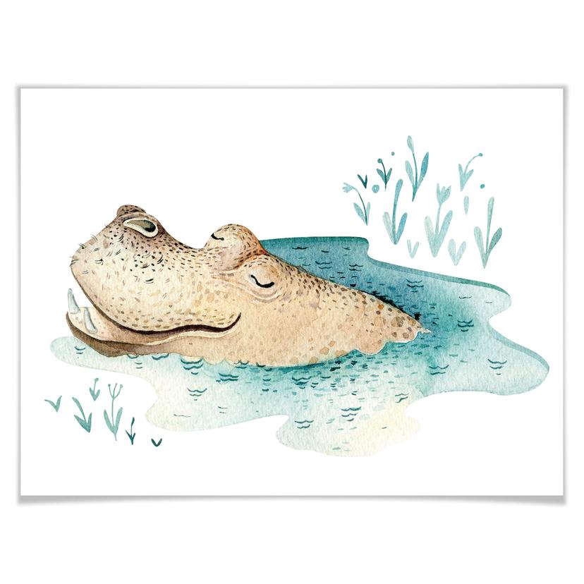 Affiche Kvilis - Hippo