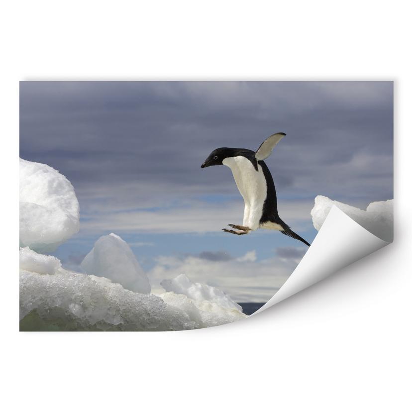 Poster autocollant - W - NG Pinguin Fly
