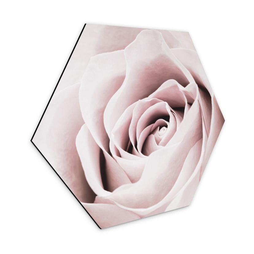 Hexagone - Alu-Dibond 1X Studio - Rose Noble