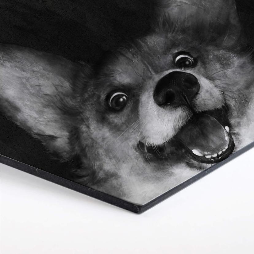 Esagoni Alu-dibond Graves - Fox Corgi