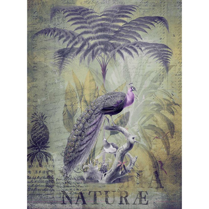 Livingwalls papier peint photo ARTist Peacock Jungle avec Jungle et paons vert, violet, gris