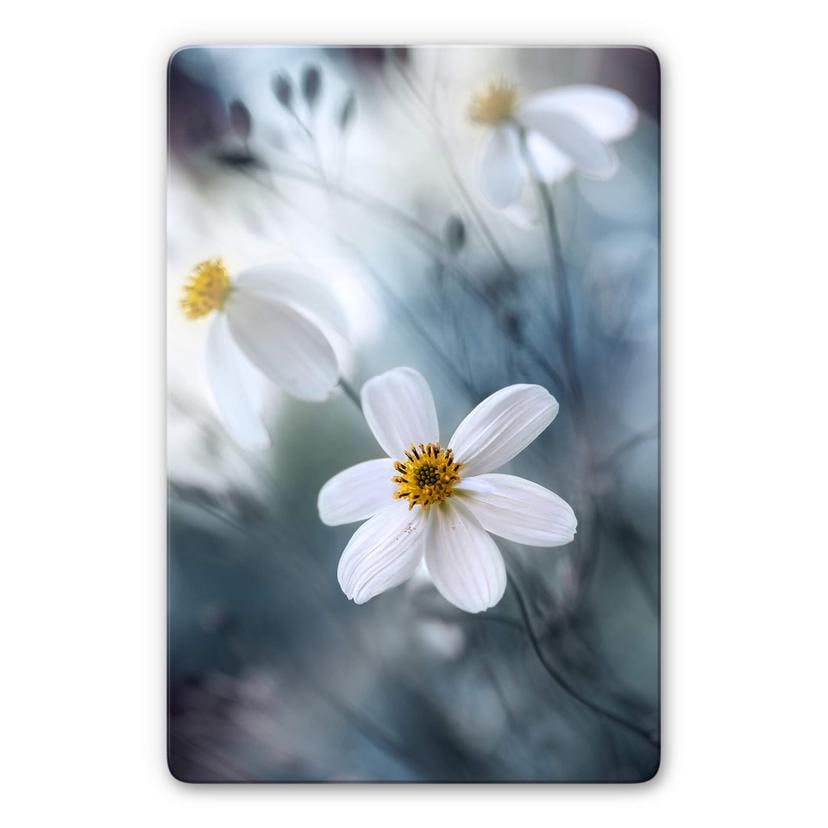 Tableau en verre Disher - Fleurs blanches