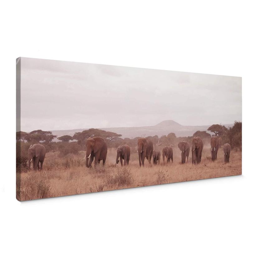 Tableau sur toile Troupeau d’éléphants