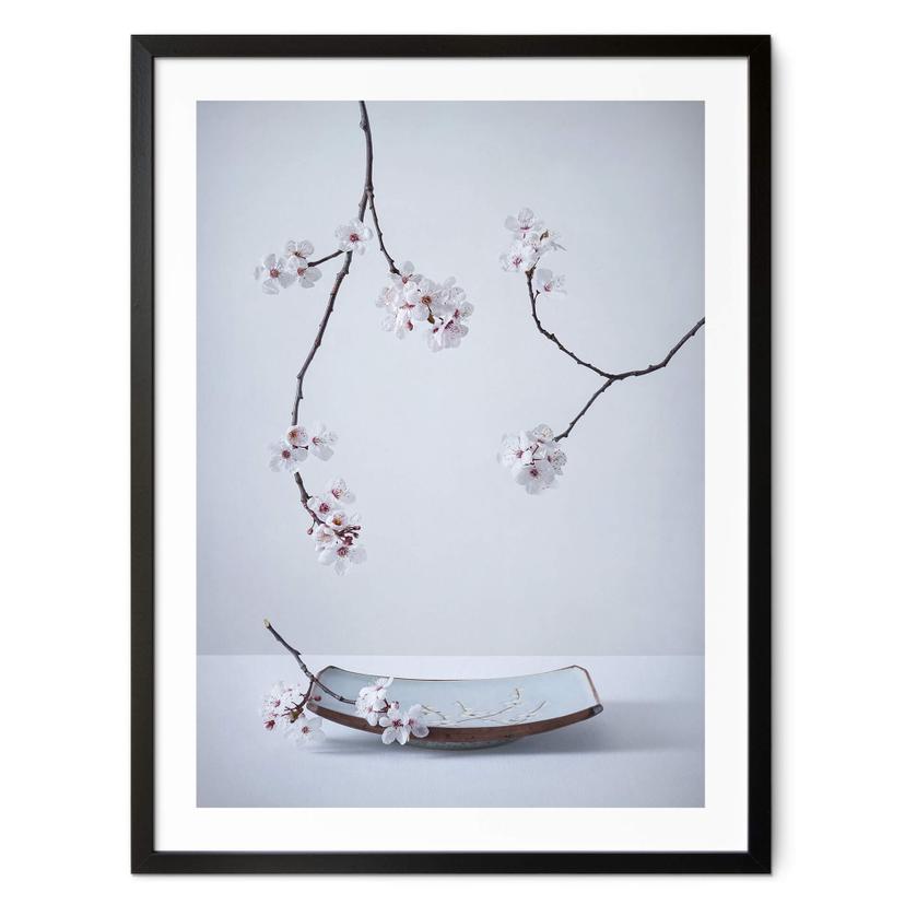 Póster Karpova - Spa y Zakura - Naturaleza muerta floral de primavera