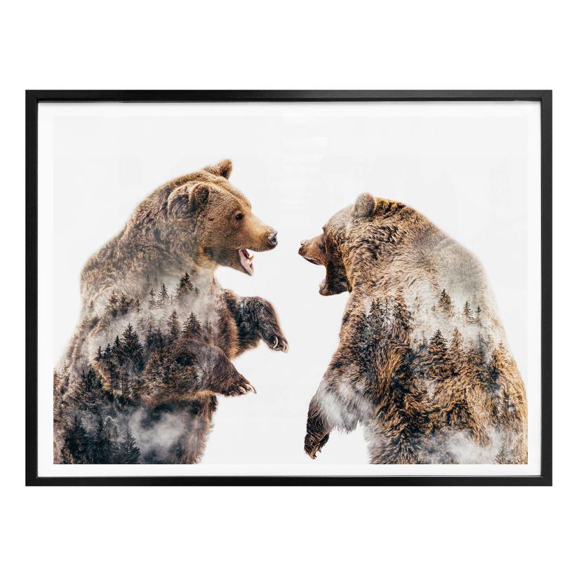 Plakat - Angyalosi - Vild konflikt