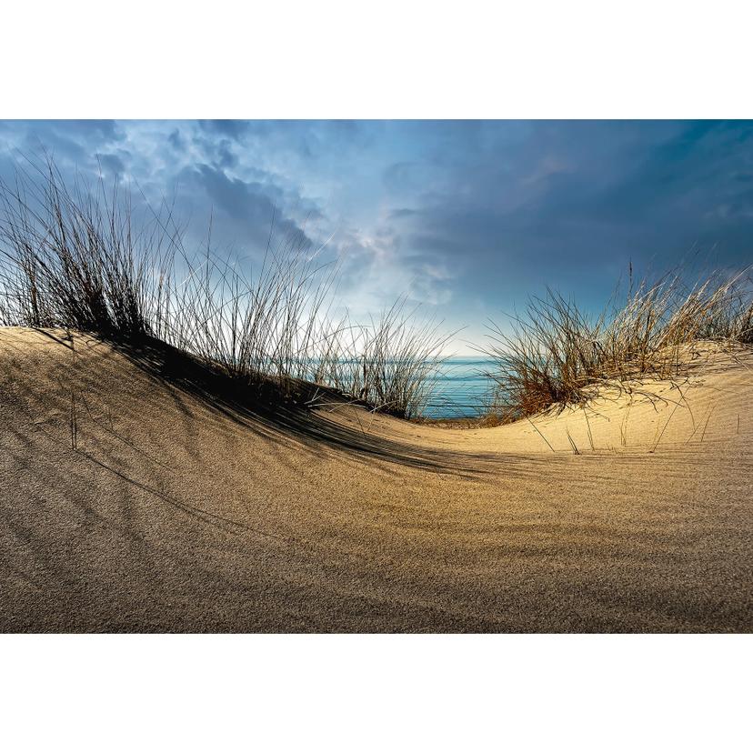 Fotobehang Schuurmans - Duinen (384x260 cm)