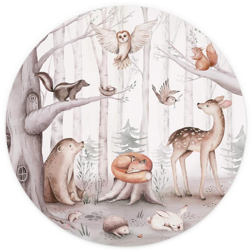 Fotomurale tondo Kvilis - Cute Forest Animals - carta da parati in tessuto non tessuto/carta da para