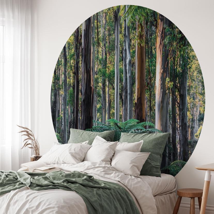 Eukalyptusskov i Yarra Ranges | Fototapet fra skoven - Colombo - Round - vliesetapet/selvklæbende no