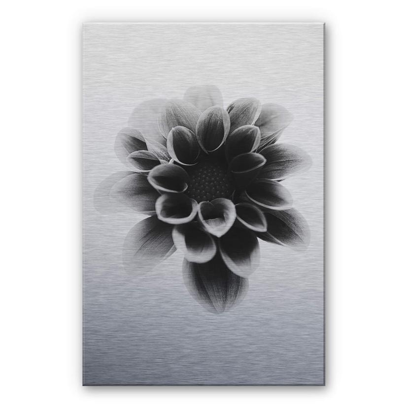 Tableau en alu-Dibond effet argenté - Grønkjær - Dahlia