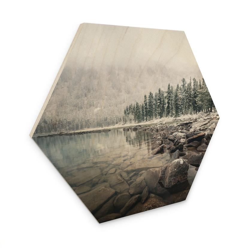 Sekskantet billede af træ vinterskov ved søen - Rostovskiy
