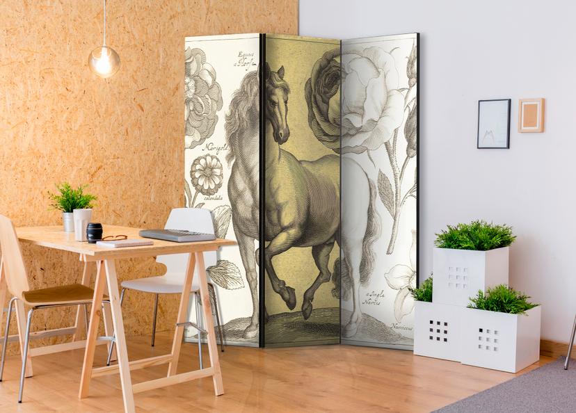 Schermo divisorio - Cavallo, 3 pezzi - 135x172 cm
