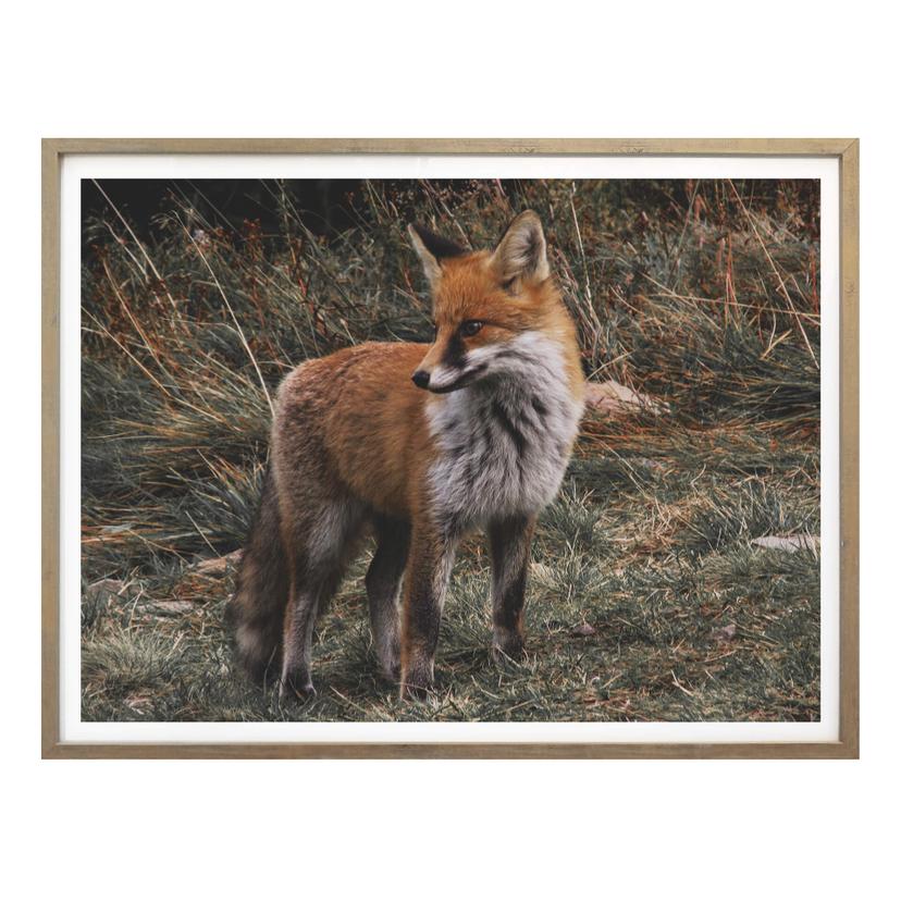 Affiche - Renard 02