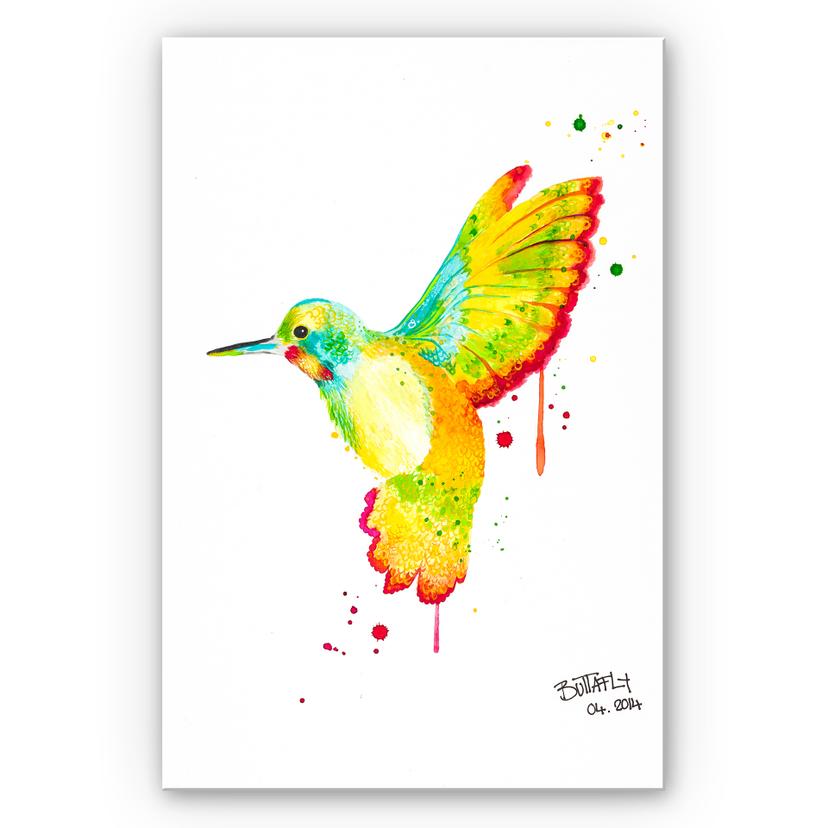 Tableau Forex - Buttafly - Colibri