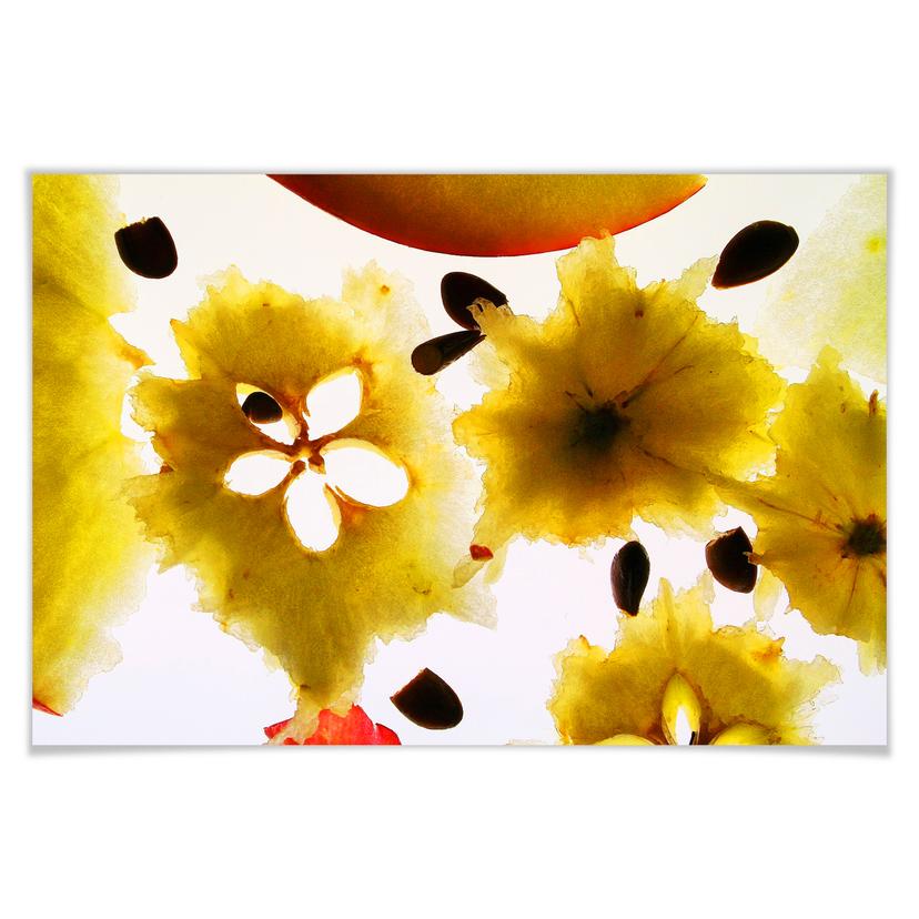 Poster - Abstract Fruit