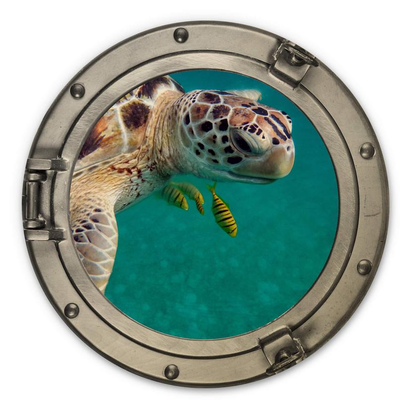 Tableau sur bois 3D Optik - Amis de la mer - Rond