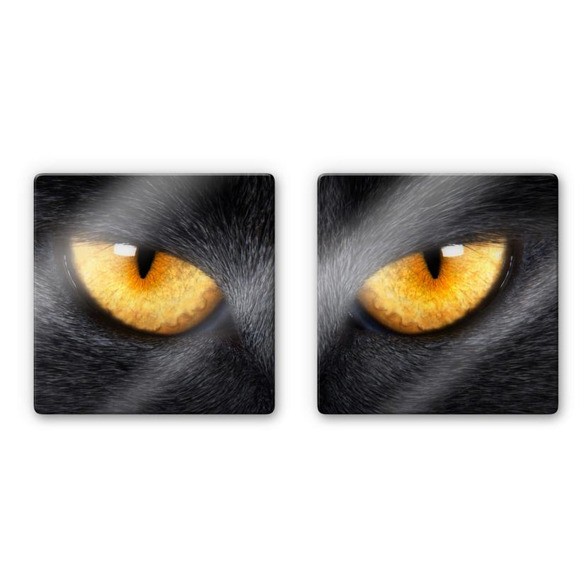 Tableau en verre - Yeux de chat (2 parties)