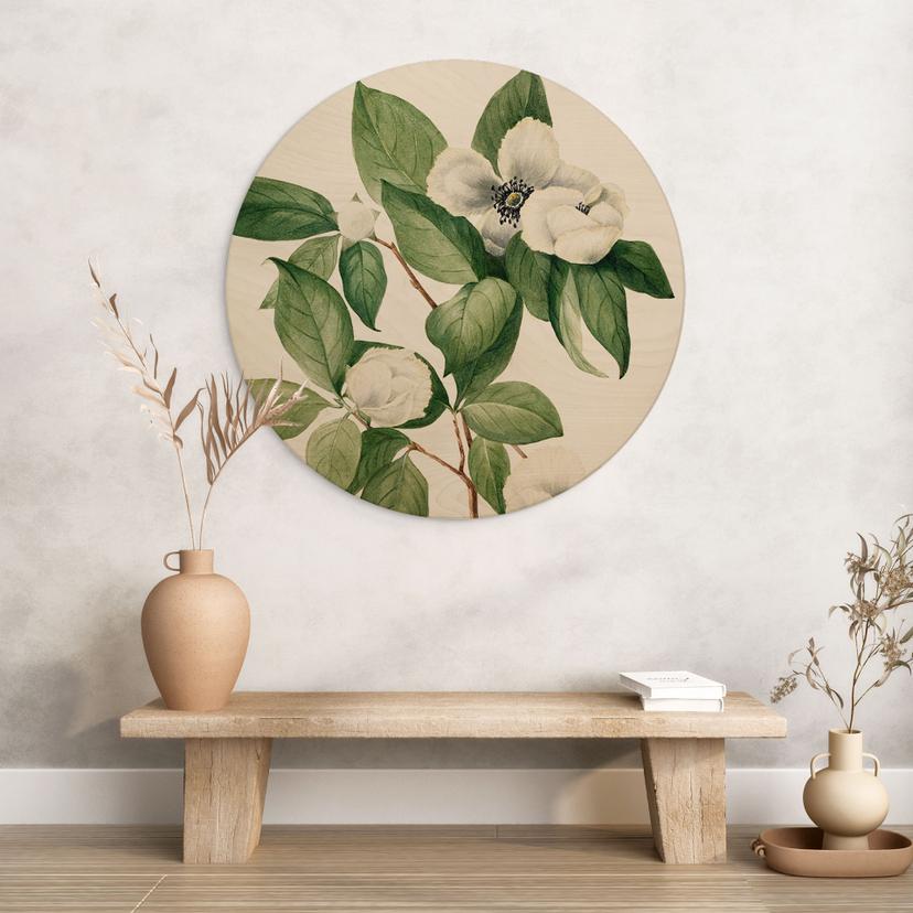 Stampa su legno illustrazione botanica di una finta camelia - Walcott - Rotonda
