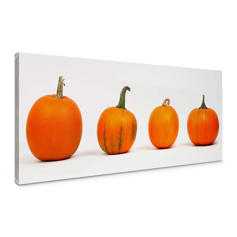 Cuadro lienzo Variedades de calabazas - Panorama