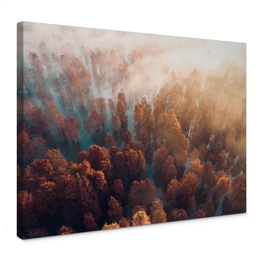 Canvas Efterårsskov i tåge - Ioricon