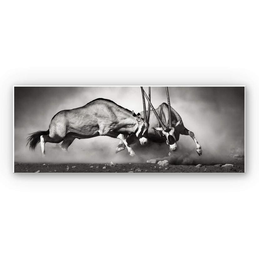 Tableau Forex - Le duel - Panorama