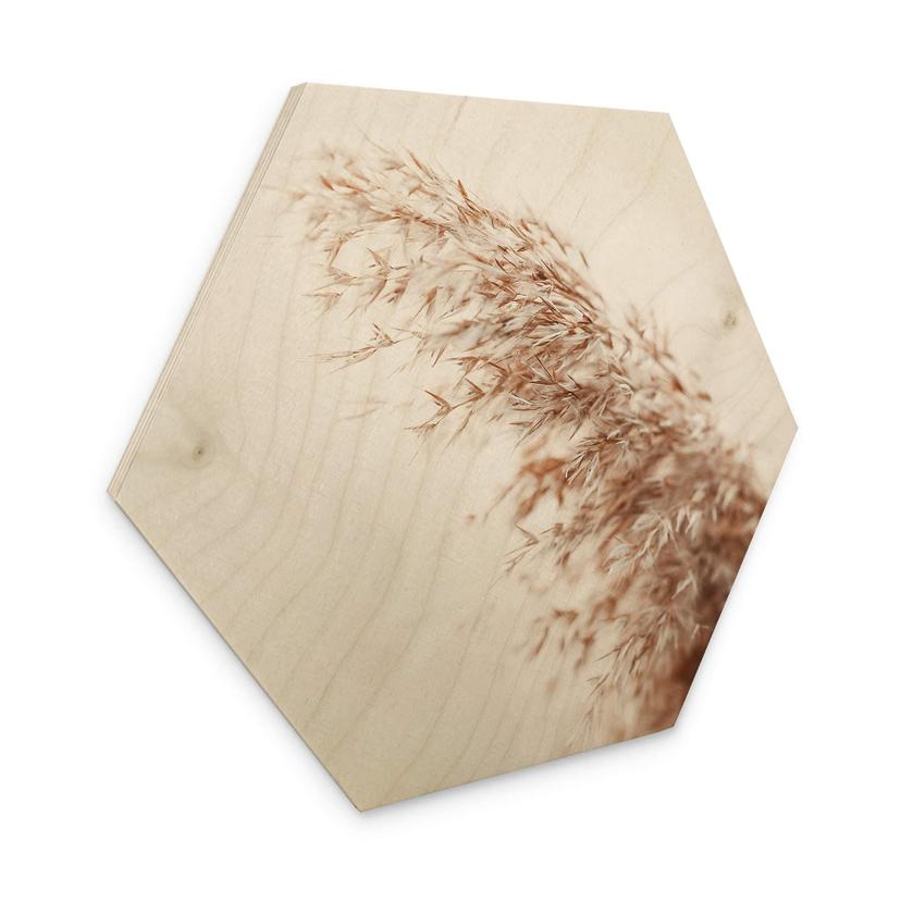 Hexagon Hout Pampasgras