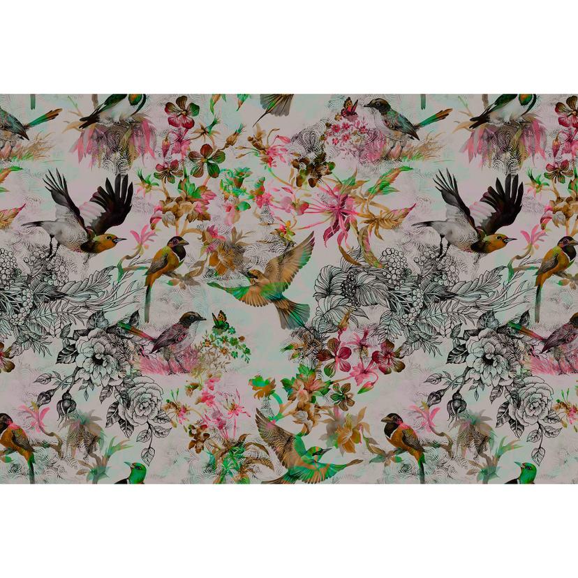 Livingwalls Fotomurale Walls by Patel funky birds 1