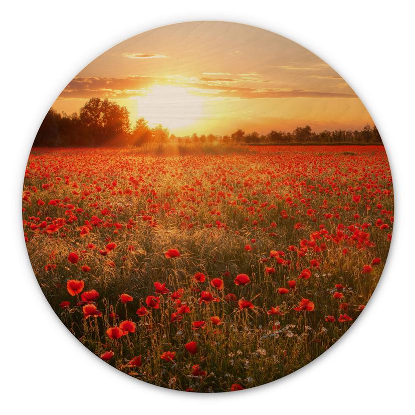 Tableau en bois Champ de coquelicots au coucher du soleil - Rond