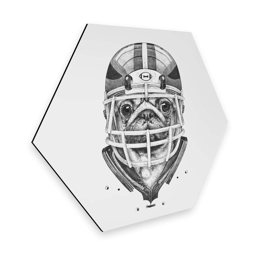 Hexagon - Alu-Dibond Kools - American Pug Football