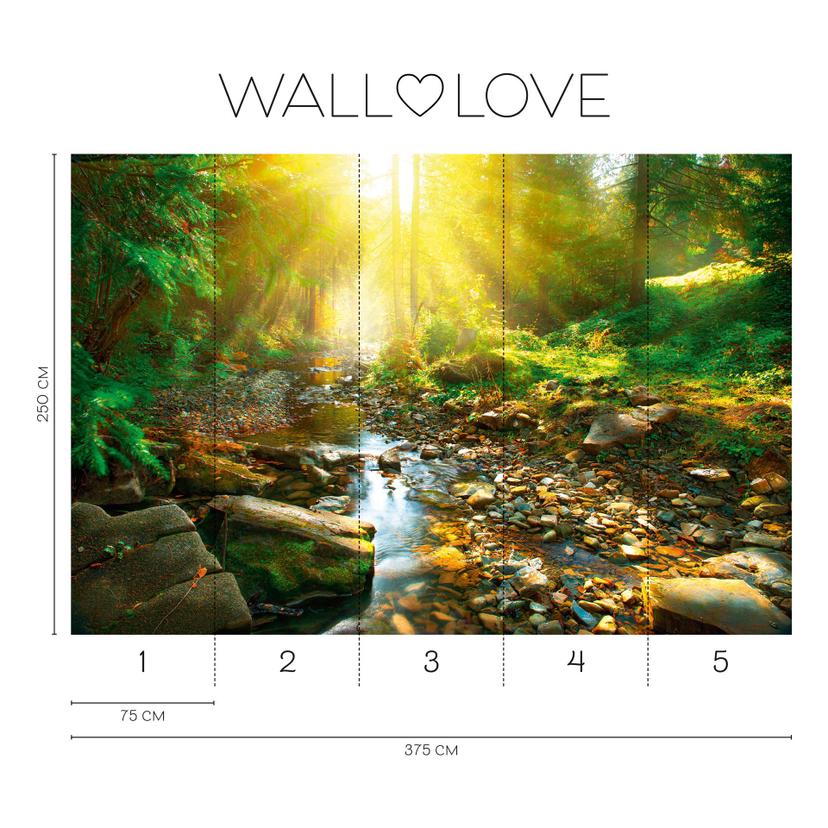 Carta da parati fotografica Fotomurale con ruscello alla luce del sole verde marrone - Carta da para