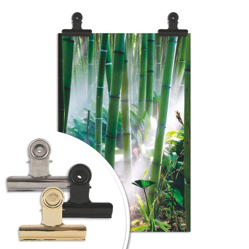Poster - Bamboo Forest