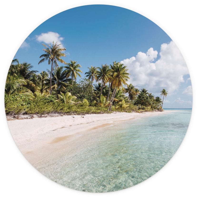 Tropicale - Spiaggia di palme nei mari del sud - Colombo - Fotomurale - carta da parati in tessuto n