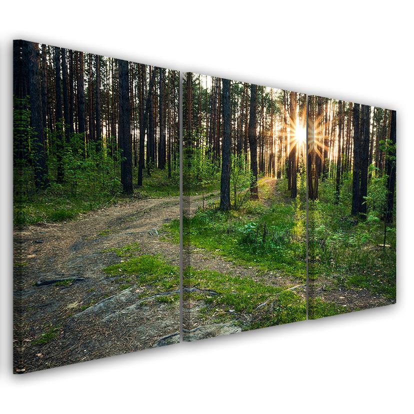 3 stykke lærredstryk, skovnaturvejlandskab
