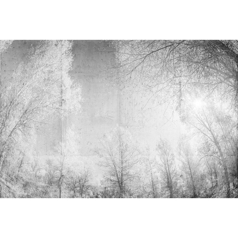 Architects Paper Fotomurale - Atelier 47 Forest