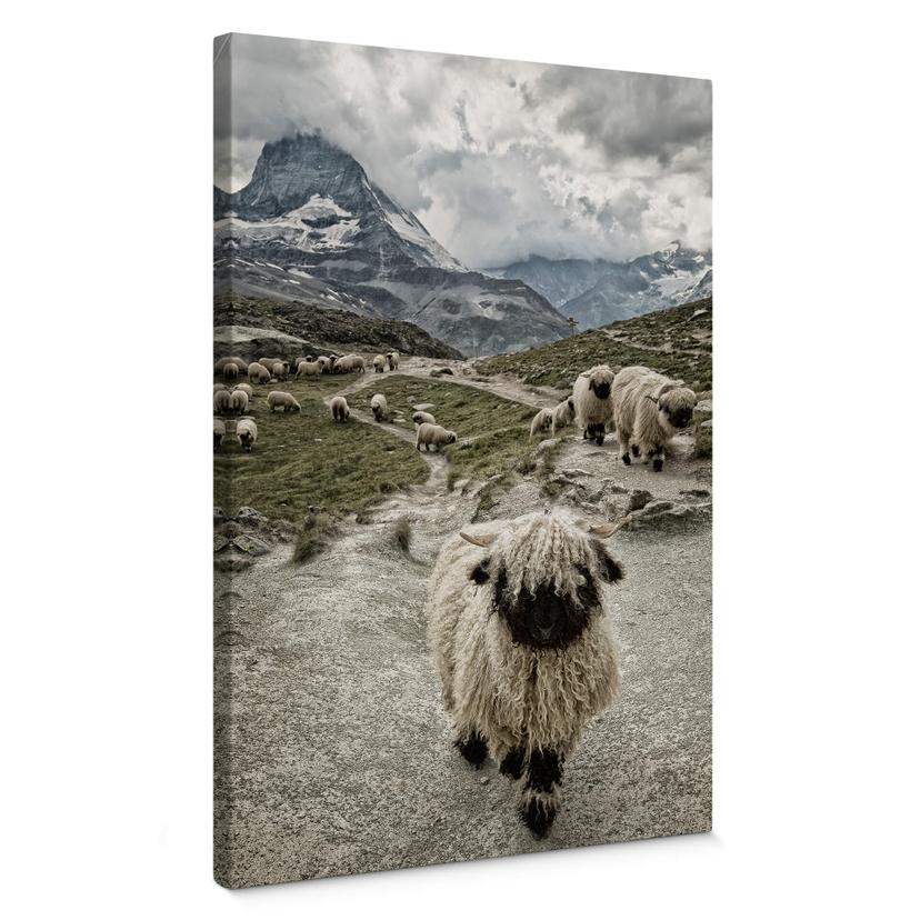 Tableau sur toile Landolt - Excursion en montagne