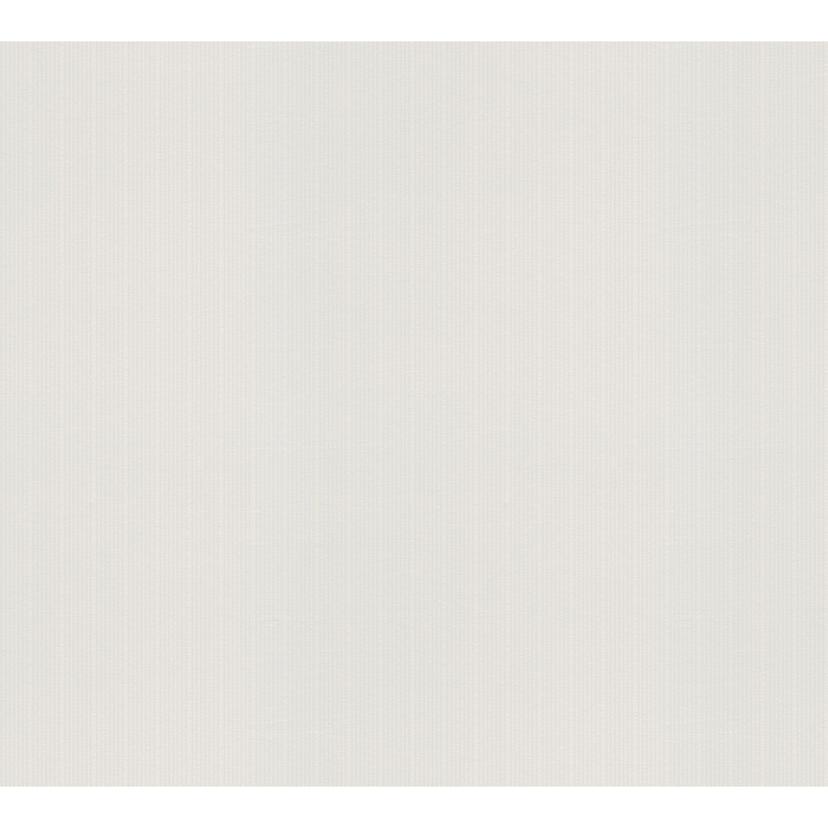 Papier peint intissé couvrant A.S. Création Meistervlies Pro Protect 2 blanc